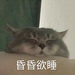 DƬ